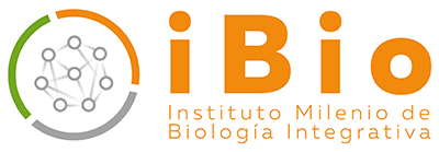 iBio