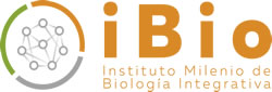 iBio