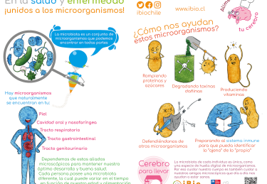 MICROBIOMA SALUD ENFERMEDAD