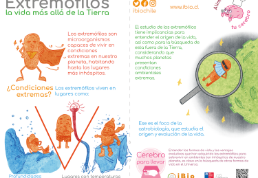 8. Extremofilos WEB